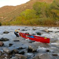 Moby Goes to the Gila River