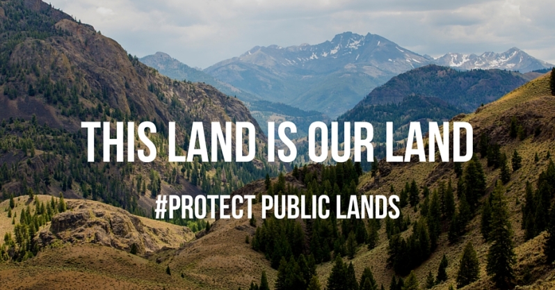 This+land+is+our+land